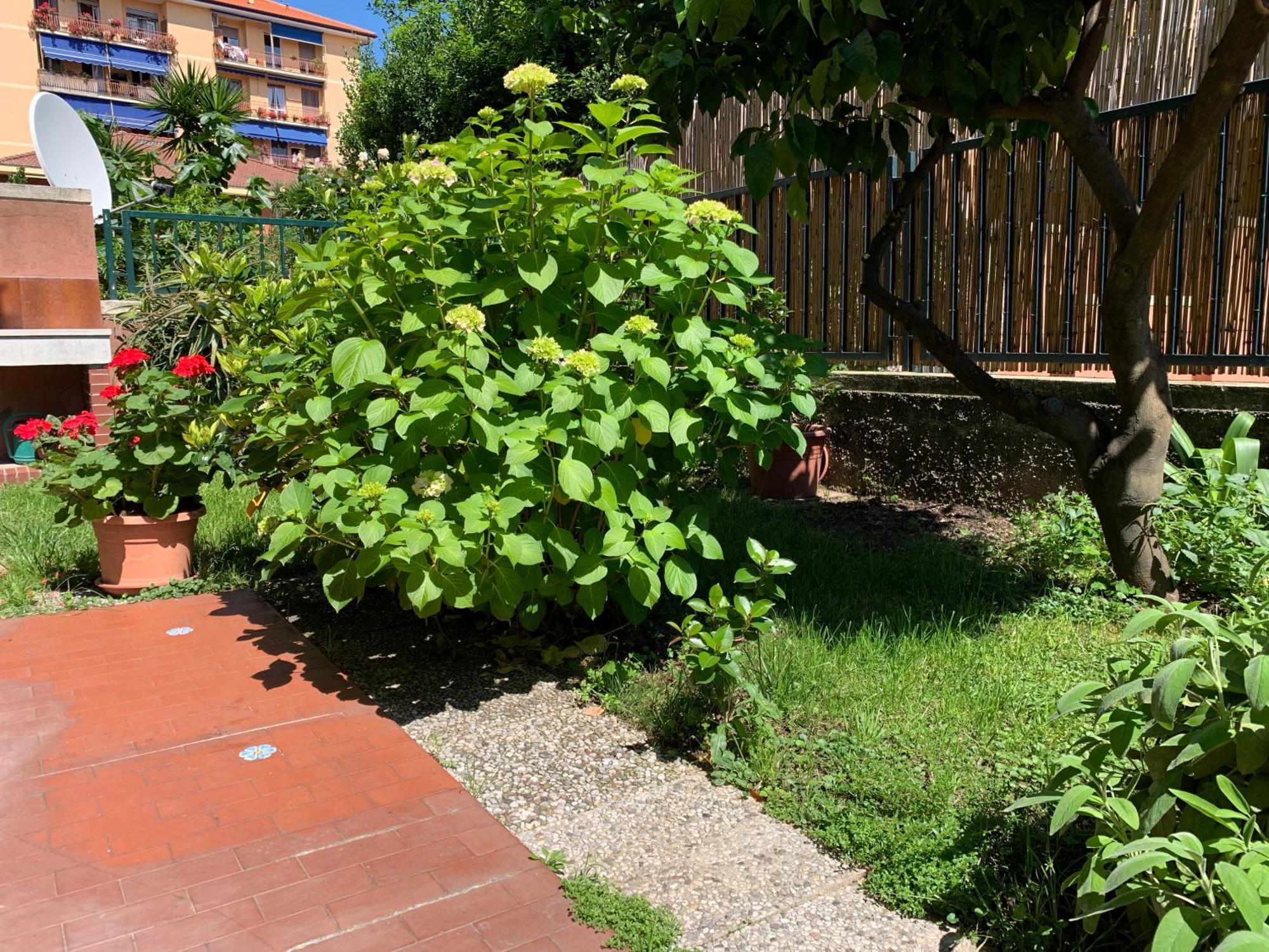 Il Giardino Dei Limoni Apartment Chiavari Ngoại thất bức ảnh